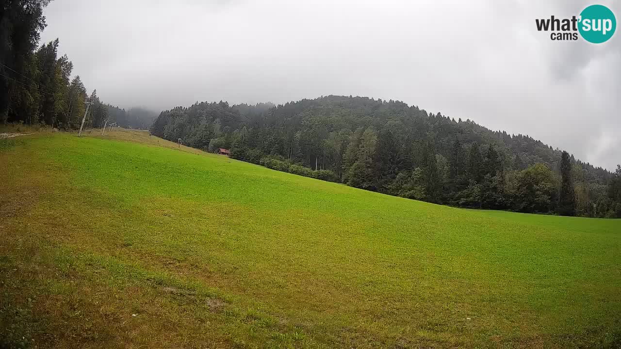 Esquí Kranjska Gora | Brsnina