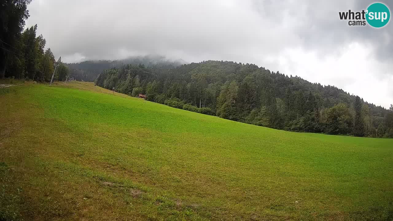 RTC Kranjska Gora | Brsnina