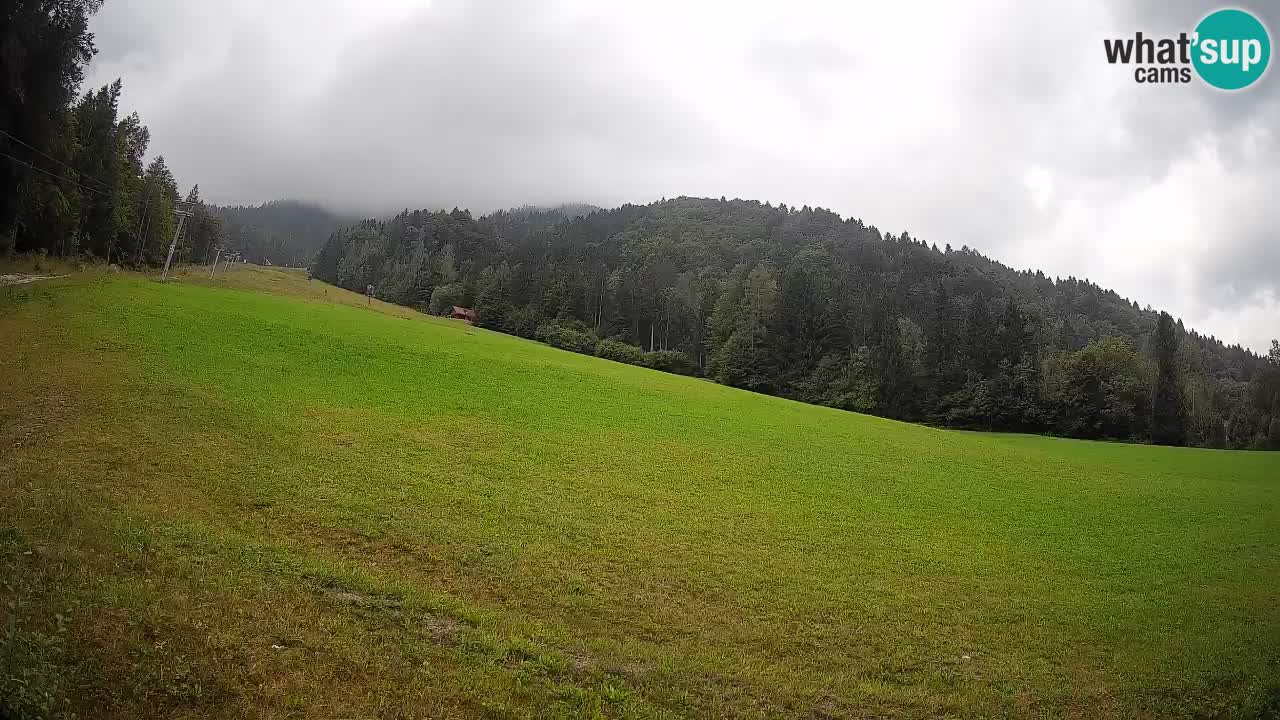 Comprensorio sciistico Kranjska Gora | Brsnina