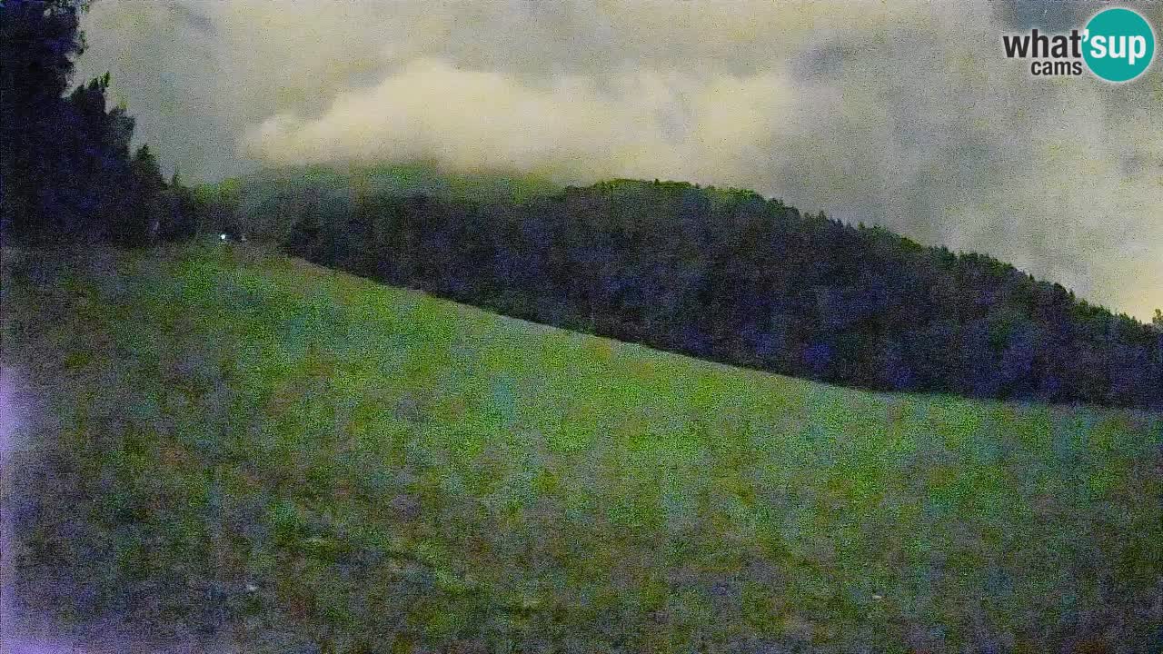 Ski Kranjska Gora | Brsnina