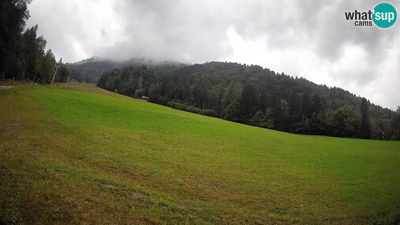 Esquí Kranjska Gora | Brsnina