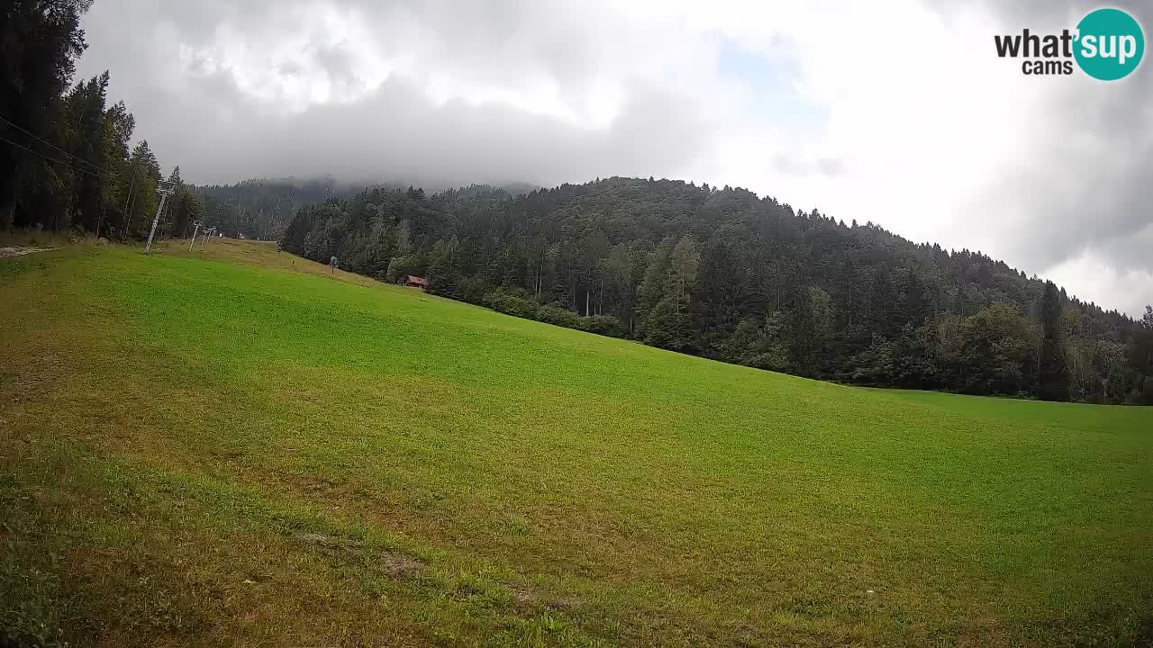 Comprensorio sciistico Kranjska Gora | Brsnina