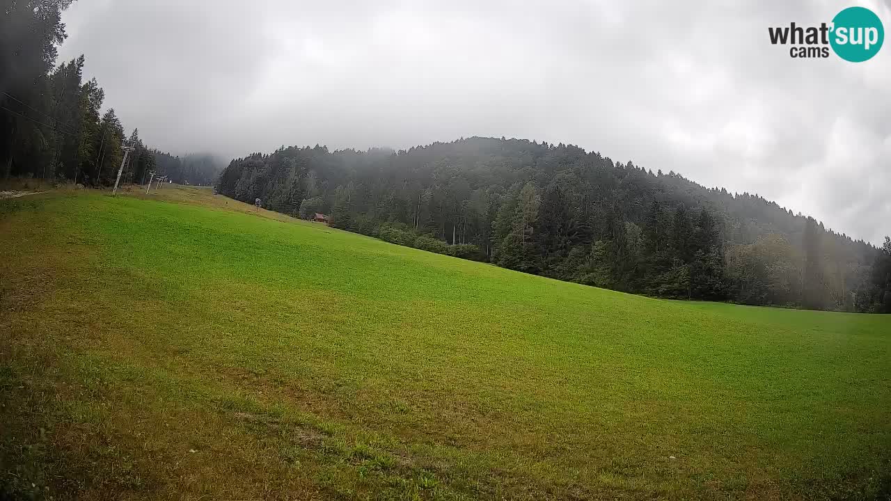 RTC Skigebiet Kranjska Gora | Brsnina