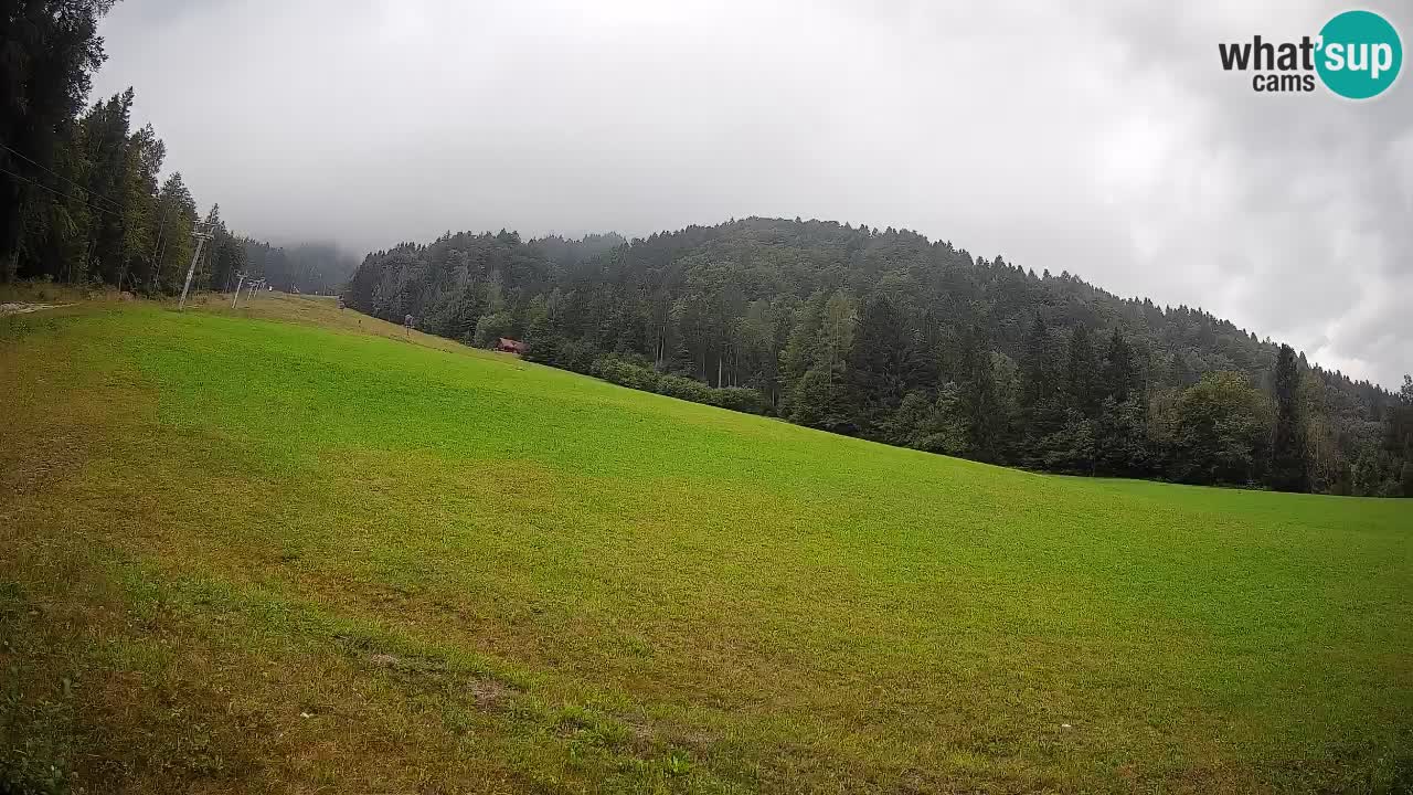 RTC Kranjska Gora | Brsnina