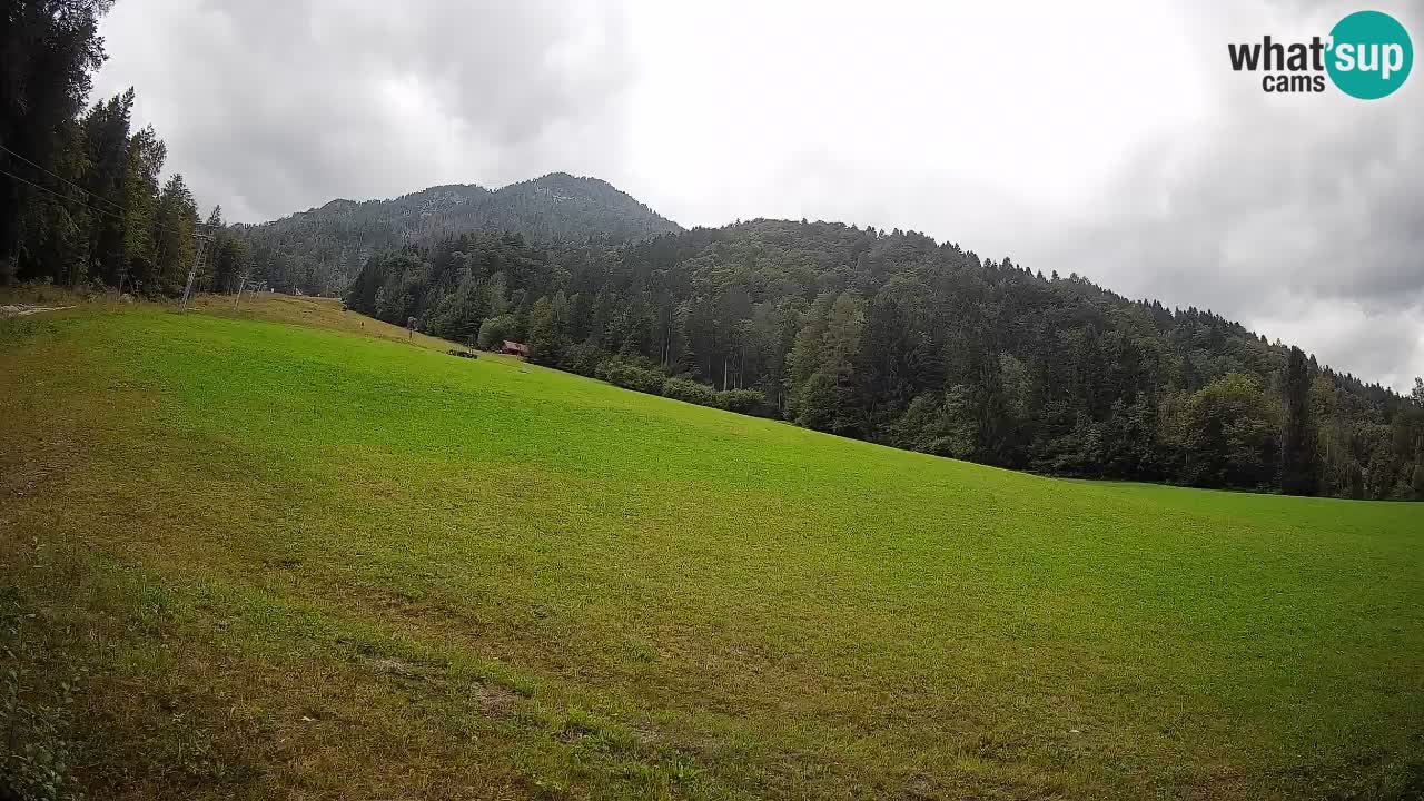 Ski Kranjska Gora | Brsnina