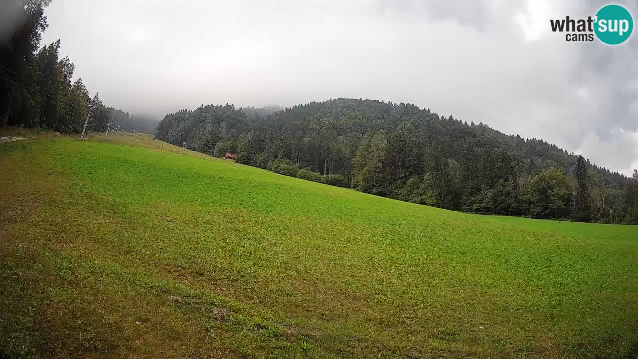 Ski Kranjska Gora | Brsnina