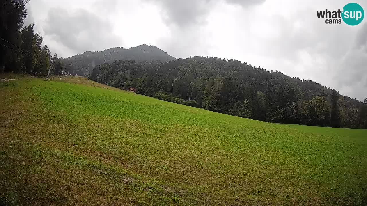 Esquí Kranjska Gora | Brsnina