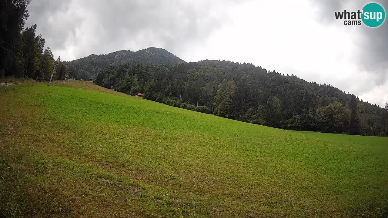 Ski Kranjska Gora | Brsnina