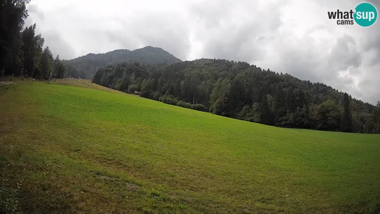 Ski Kranjska Gora | Brsnina