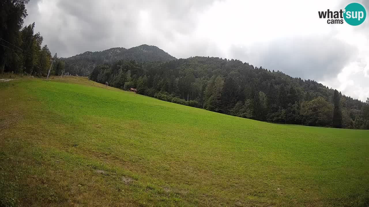 RTC Skigebiet Kranjska Gora | Brsnina