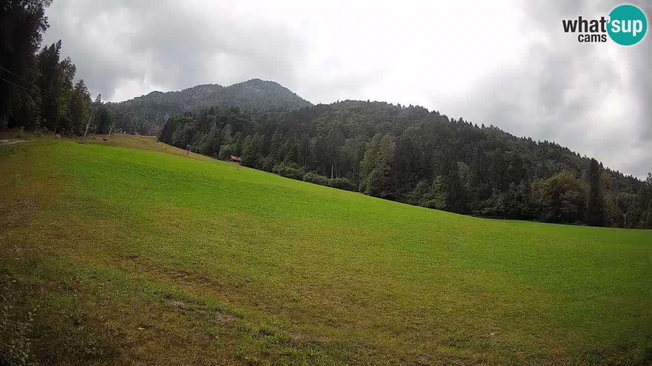 Kranjska Gora SKIJANJE | Brsnina
