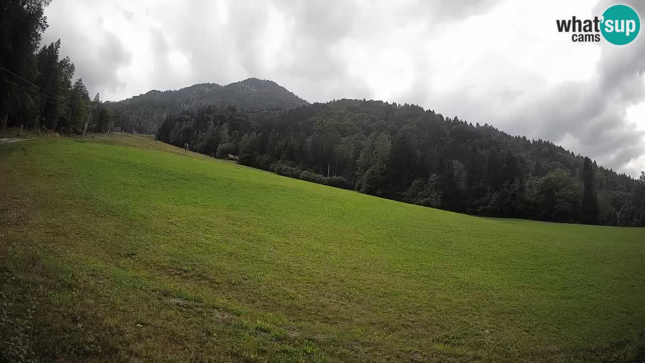 RTC Skigebiet Kranjska Gora | Brsnina