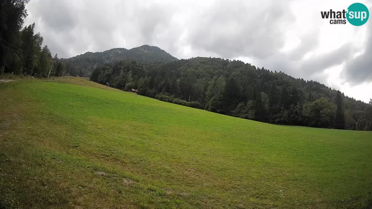 RTC Skigebiet Kranjska Gora | Brsnina