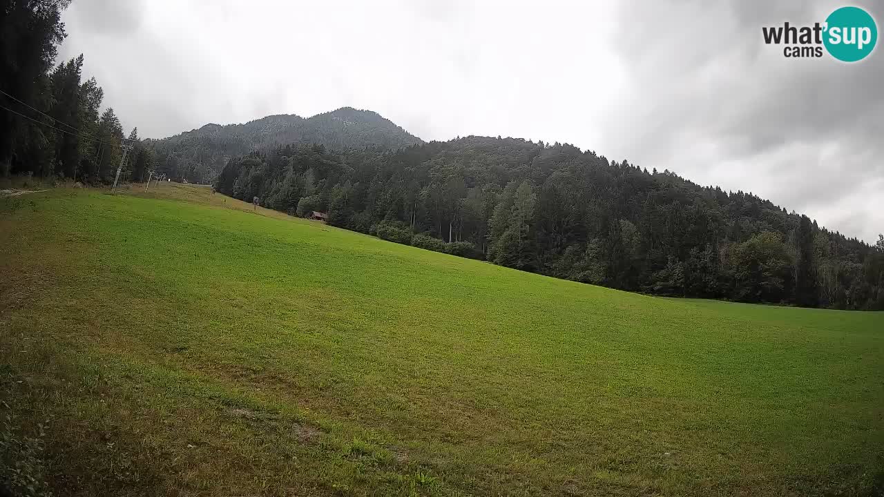 RTC Kranjska Gora | Brsnina