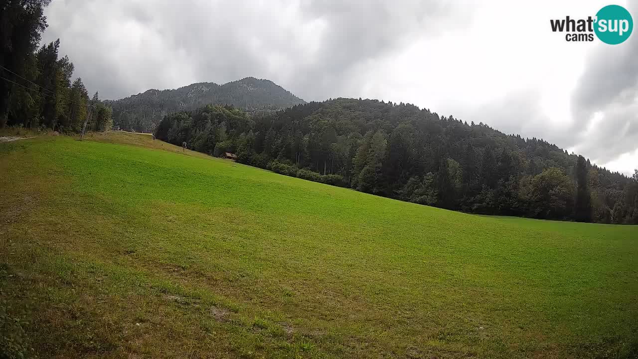 Comprensorio sciistico Kranjska Gora | Brsnina