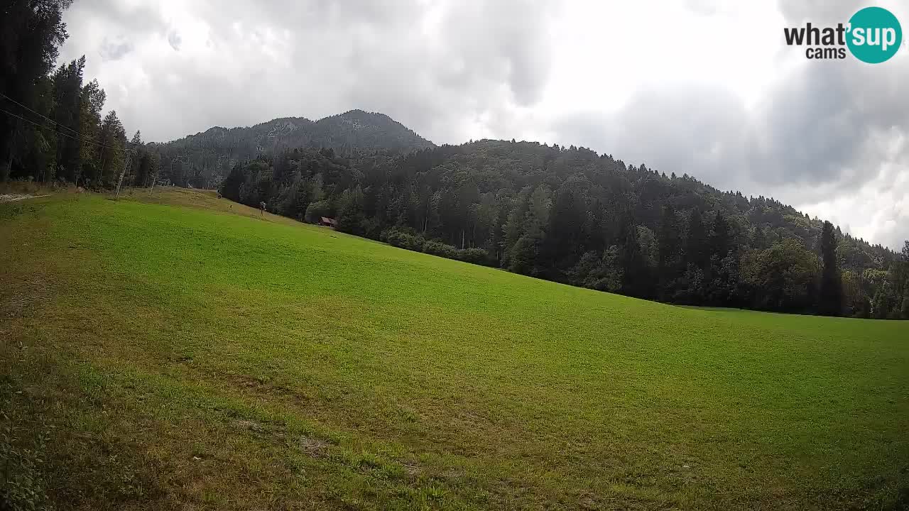 RTC Skigebiet Kranjska Gora | Brsnina
