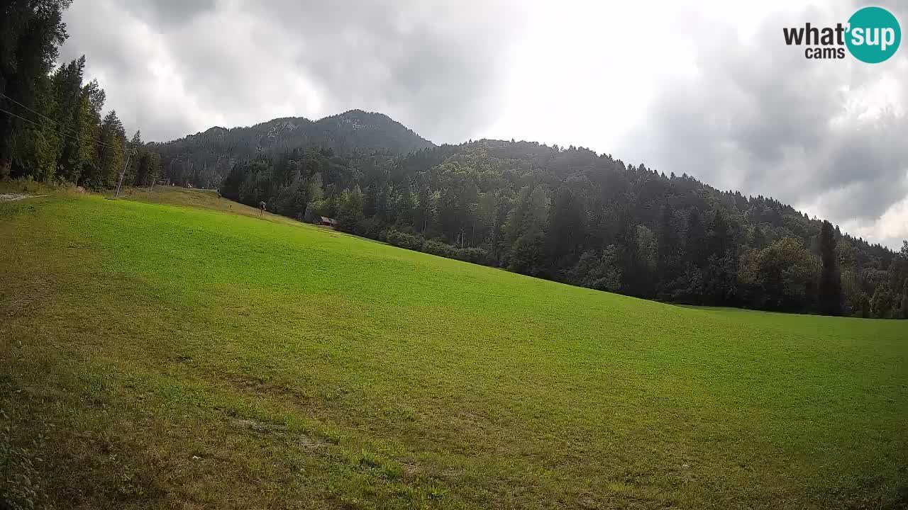 Ski Kranjska Gora | Brsnina