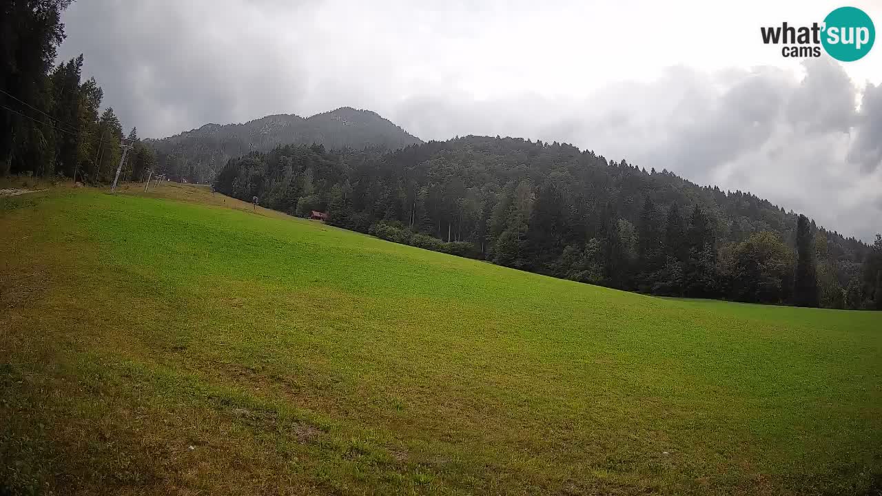 RTC Skigebiet Kranjska Gora | Brsnina
