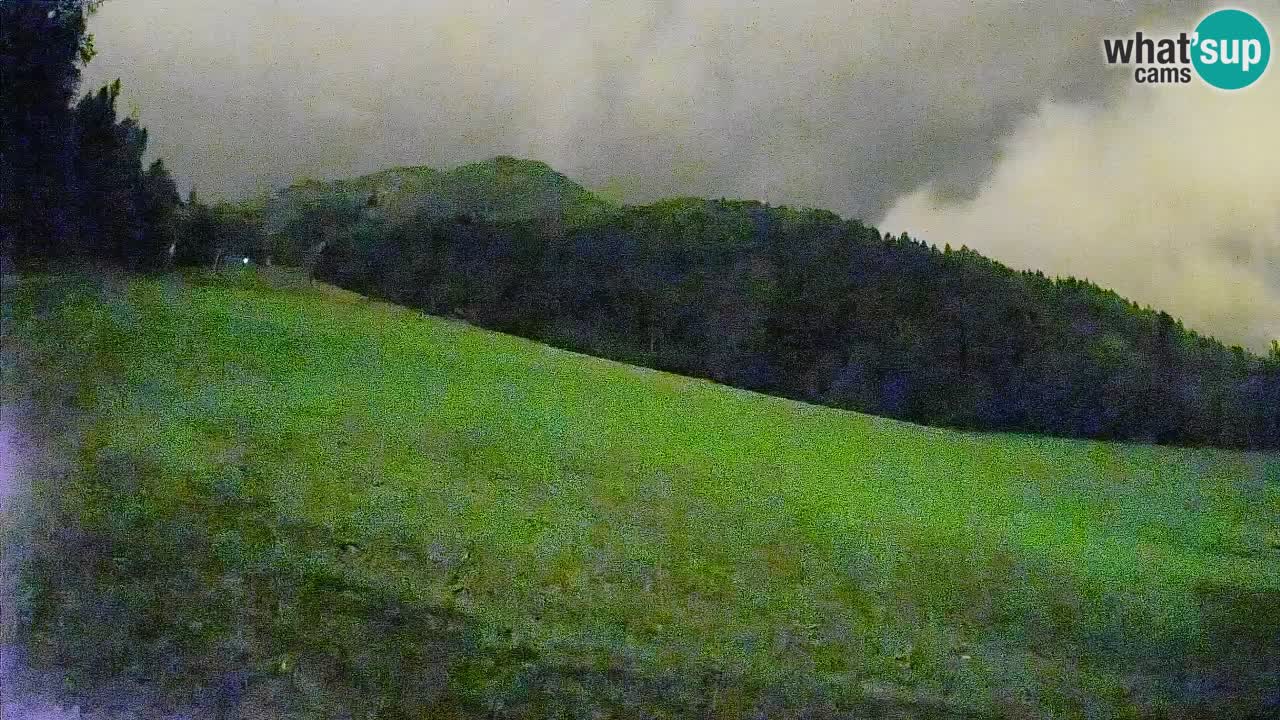 Comprensorio sciistico Kranjska Gora | Brsnina