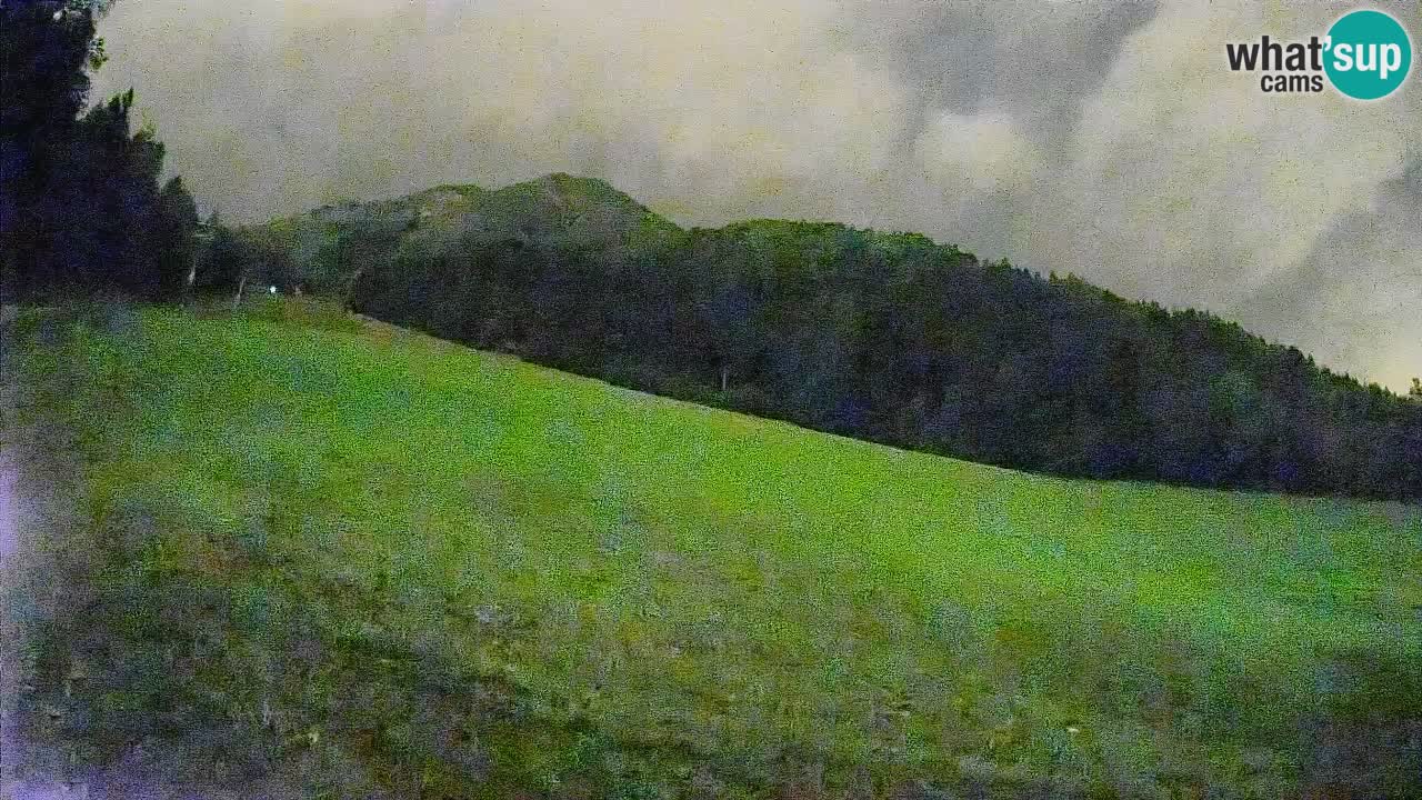 RTC Skigebiet Kranjska Gora | Brsnina