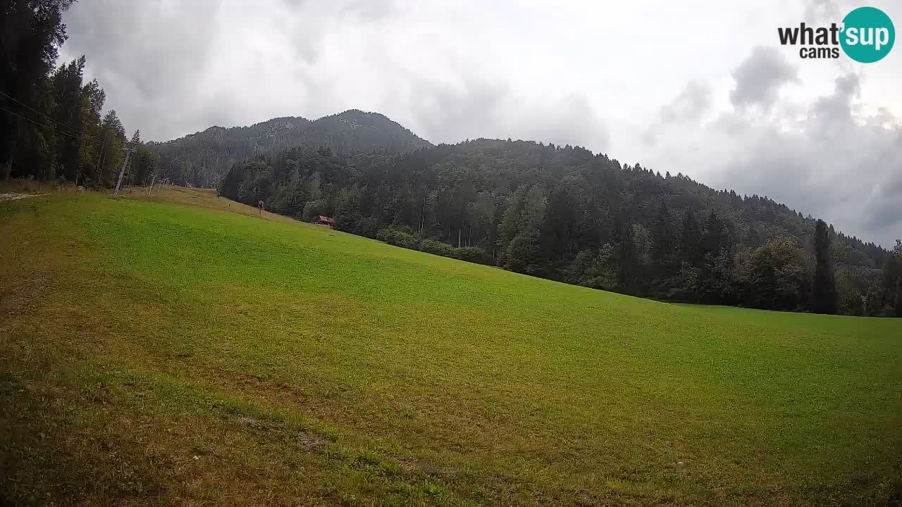 RTC Skigebiet Kranjska Gora | Brsnina