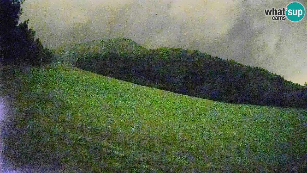 Ski Kranjska Gora | Brsnina