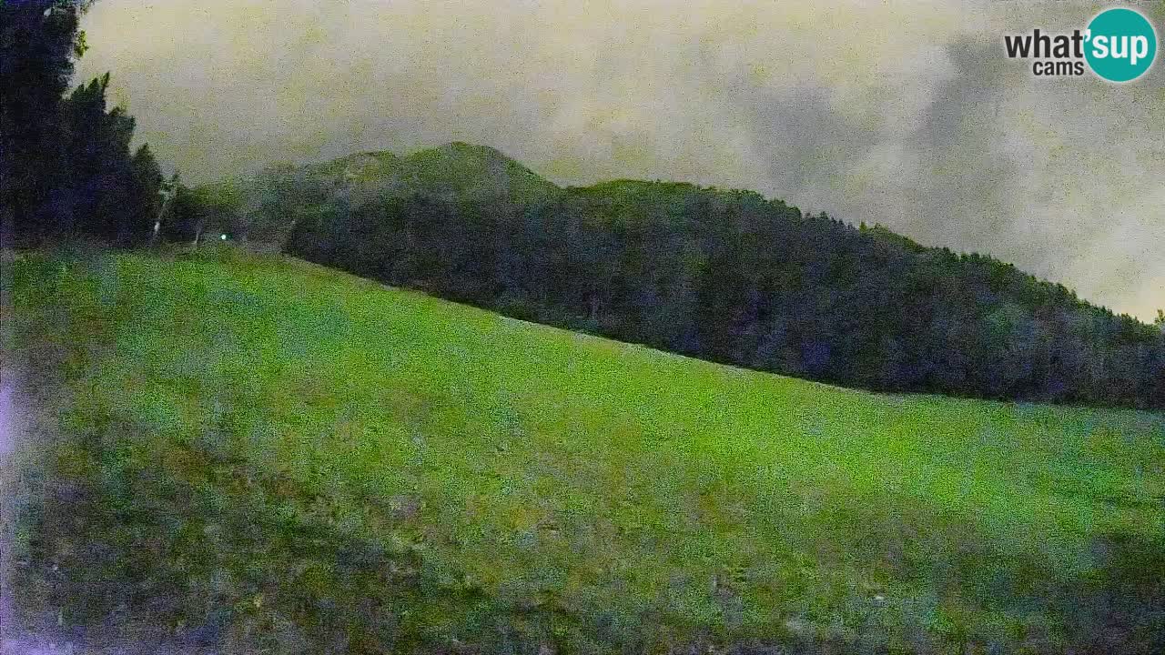 Ski Kranjska Gora | Brsnina