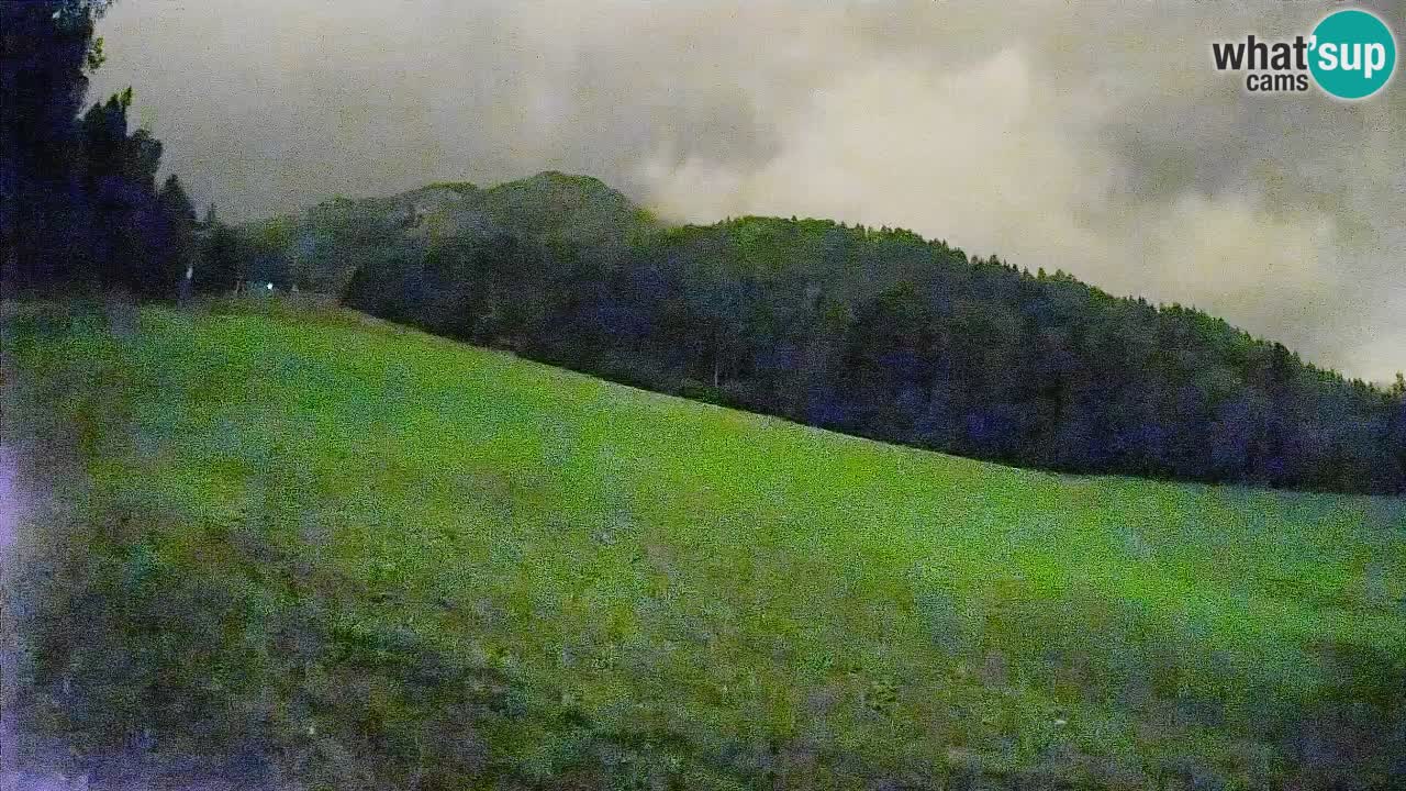 Ski Kranjska Gora | Brsnina