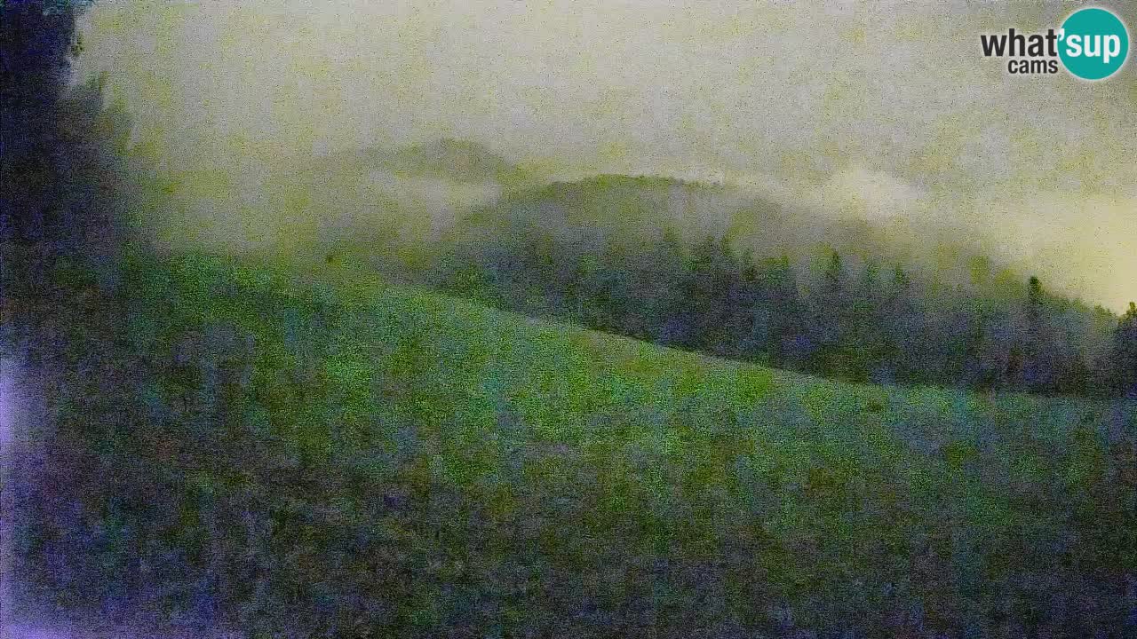Ski Kranjska Gora | Brsnina