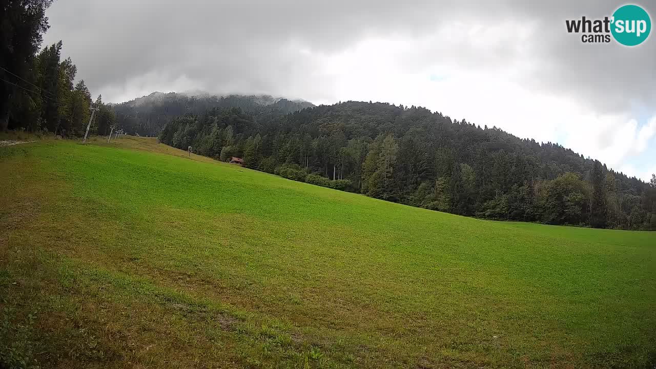 Comprensorio sciistico Kranjska Gora | Brsnina