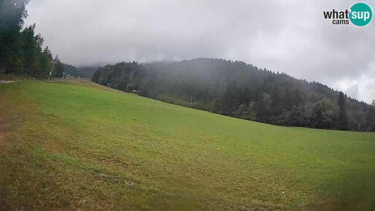 Kranjska Gora Station de ski | Brsnina