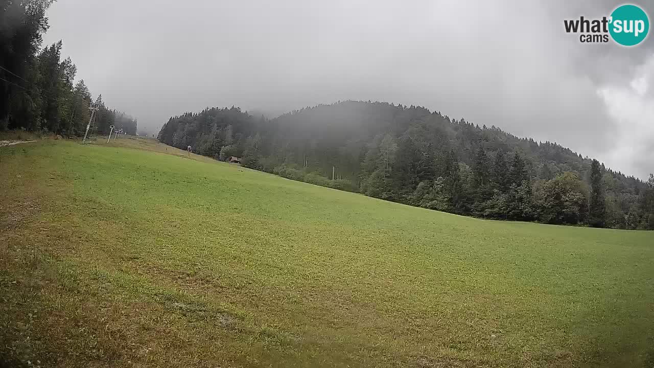 RTC Skigebiet Kranjska Gora | Brsnina