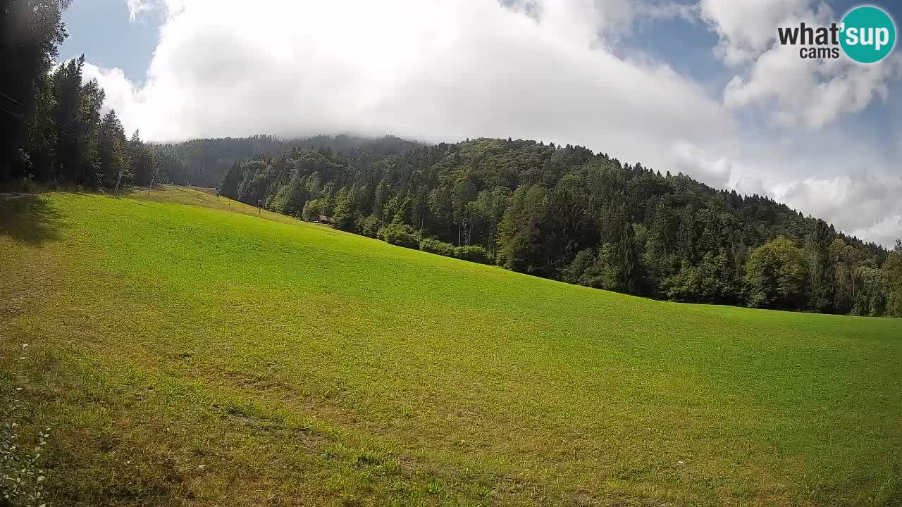 Ski Kranjska Gora | Brsnina