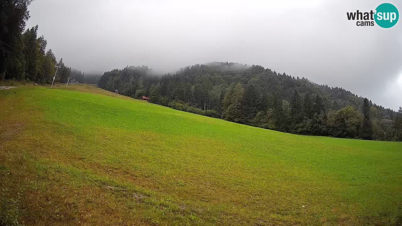 RTC Kranjska Gora | Brsnina