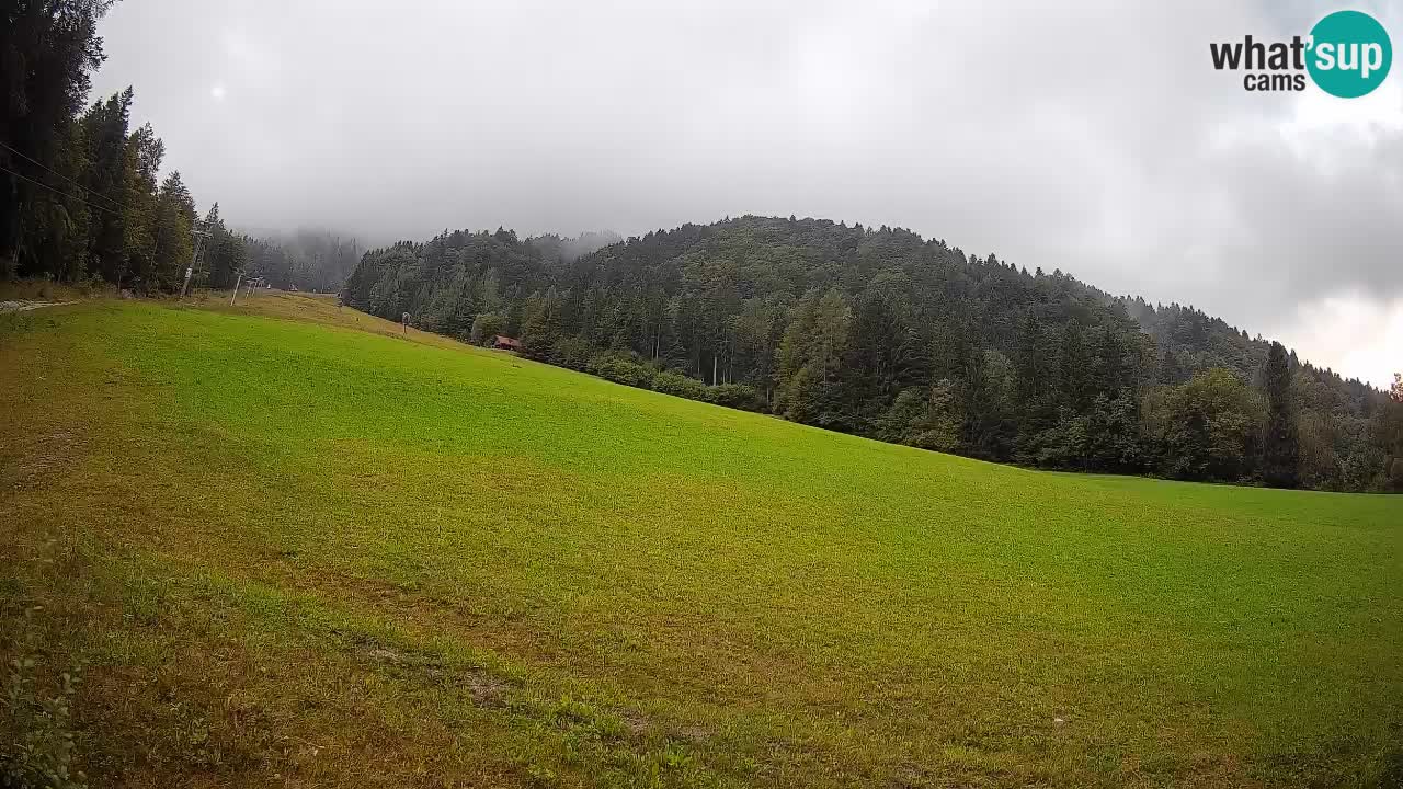 Kranjska Gora Station de ski | Brsnina