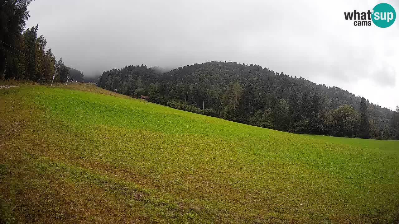 Esquí Kranjska Gora | Brsnina
