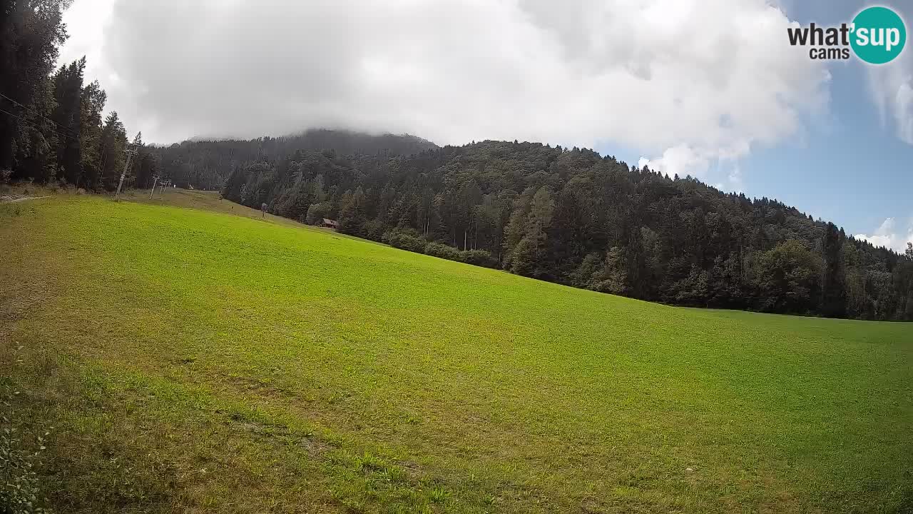 RTC Skigebiet Kranjska Gora | Brsnina
