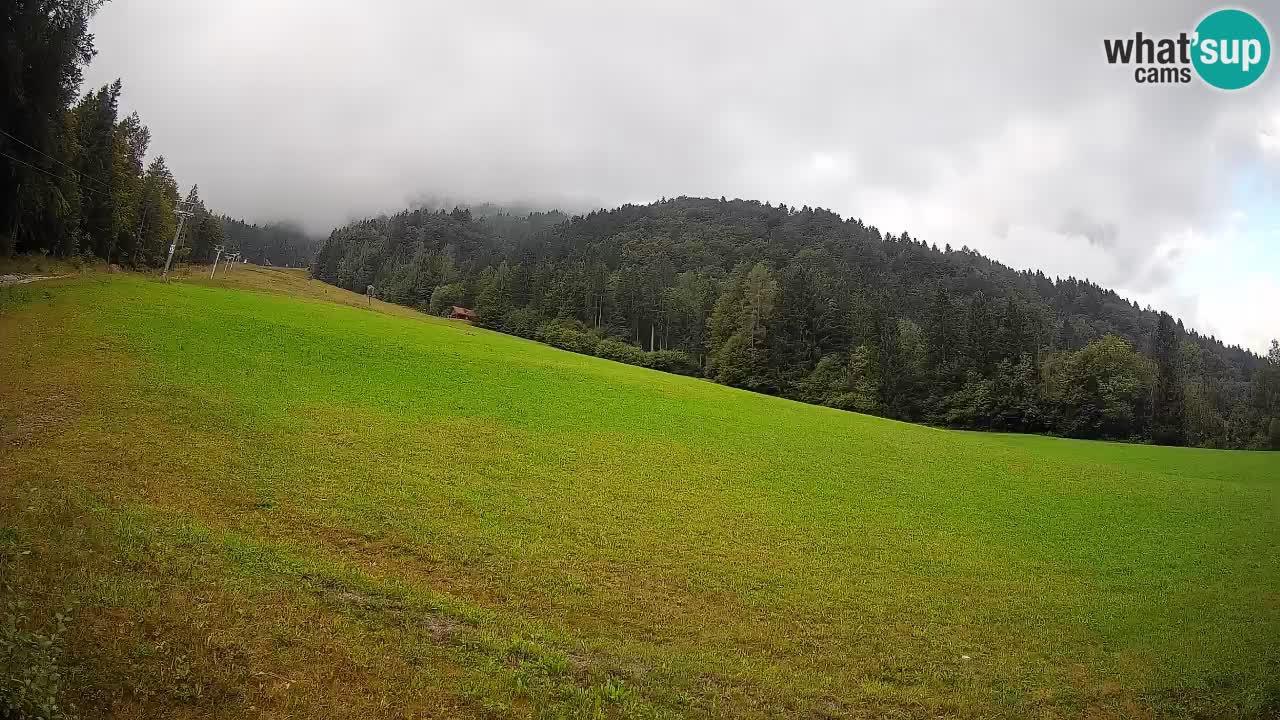 RTC Skigebiet Kranjska Gora | Brsnina
