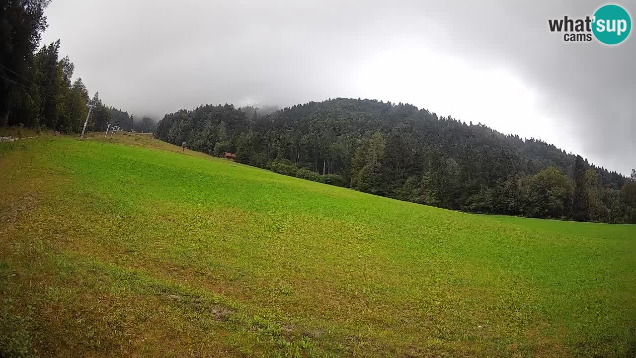 Esquí Kranjska Gora | Brsnina