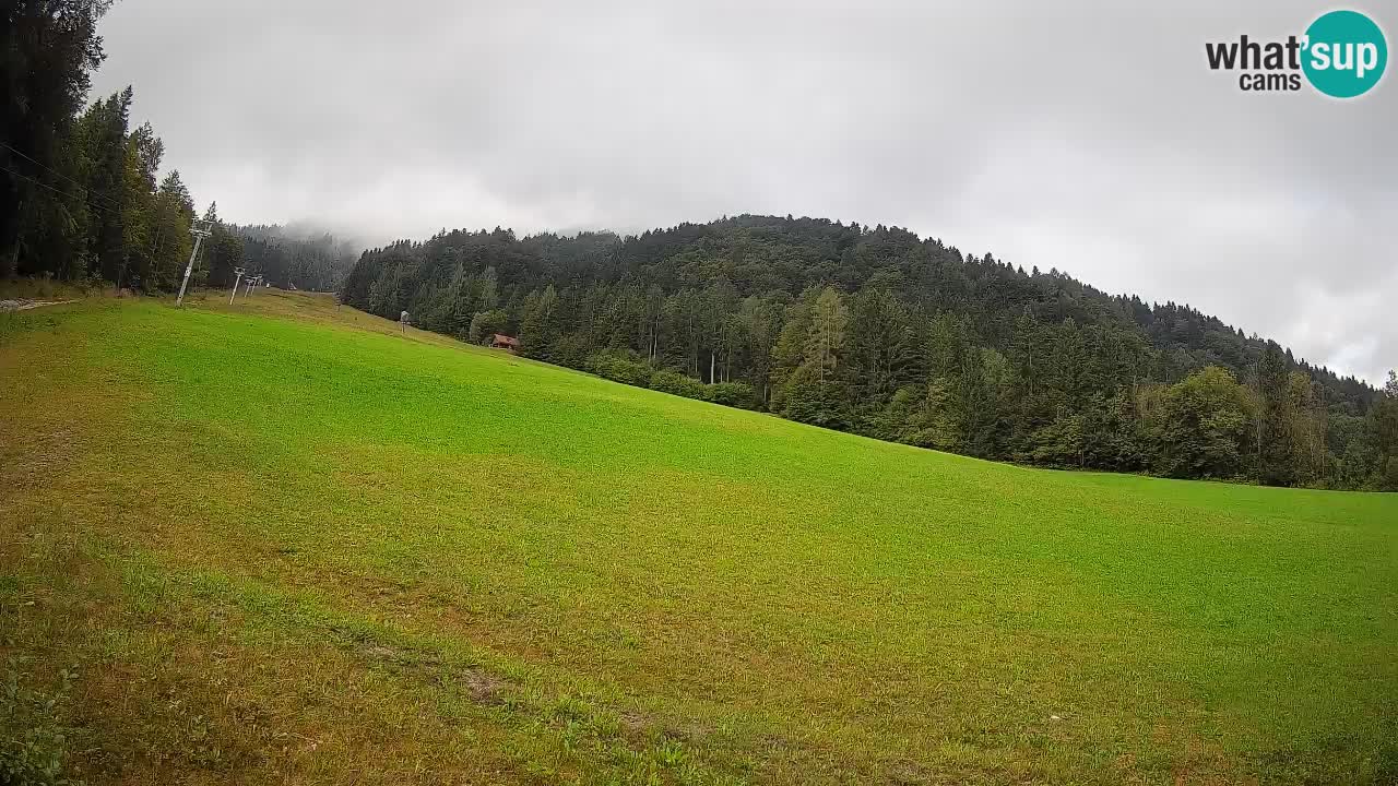 RTC Skigebiet Kranjska Gora | Brsnina