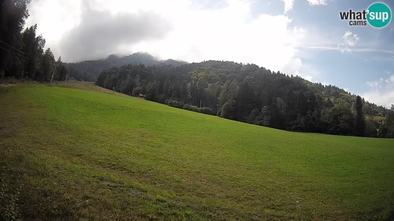 Ski Kranjska Gora | Brsnina