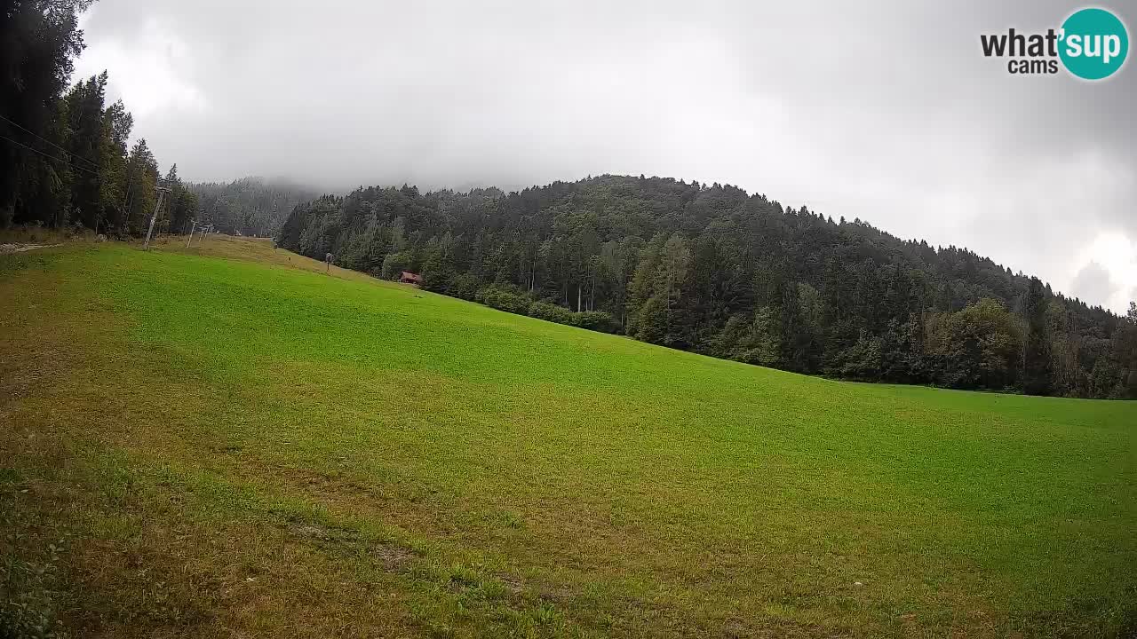 Ski Kranjska Gora | Brsnina