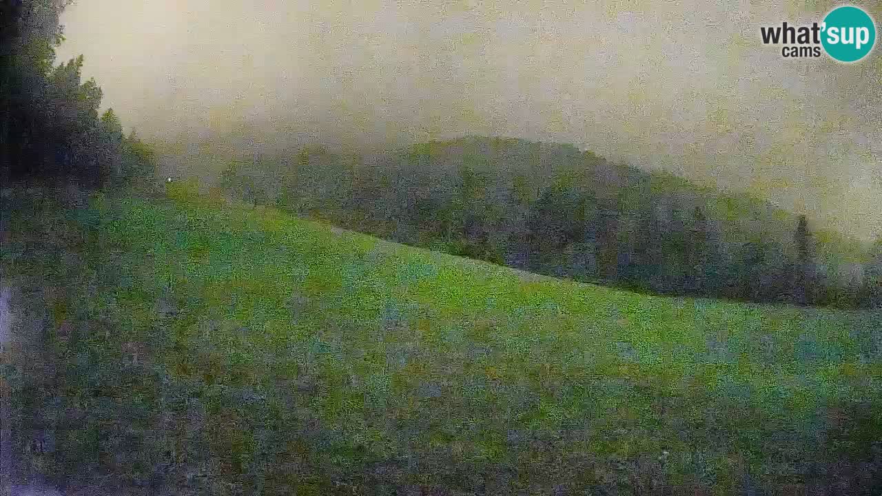 Kranjska Gora SKIJANJE | Brsnina