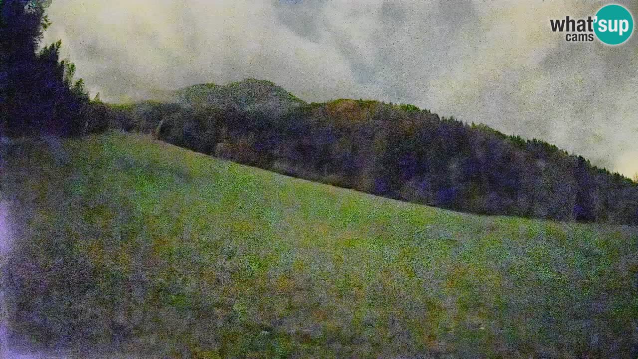 Ski Kranjska Gora | Brsnina