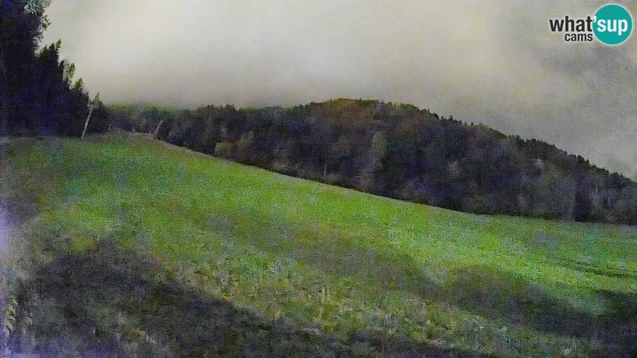 Comprensorio sciistico Kranjska Gora | Brsnina