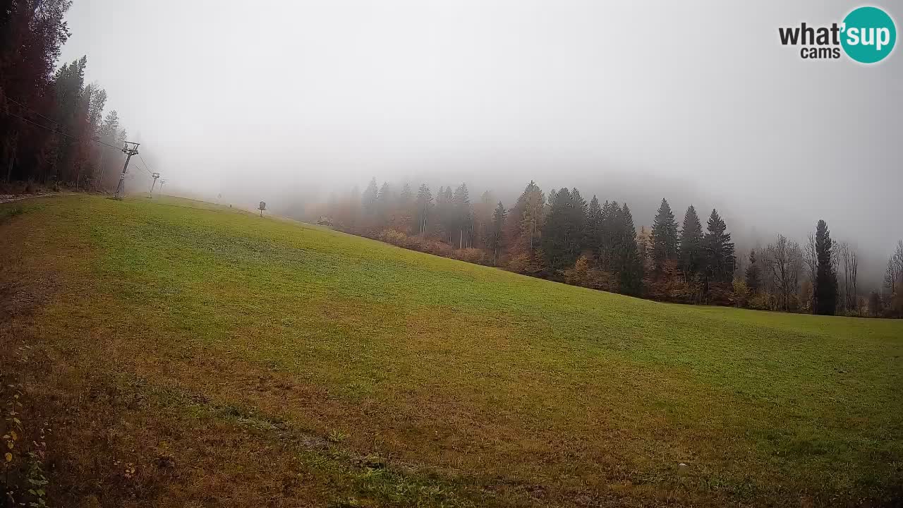 Ski Kranjska Gora | Brsnina