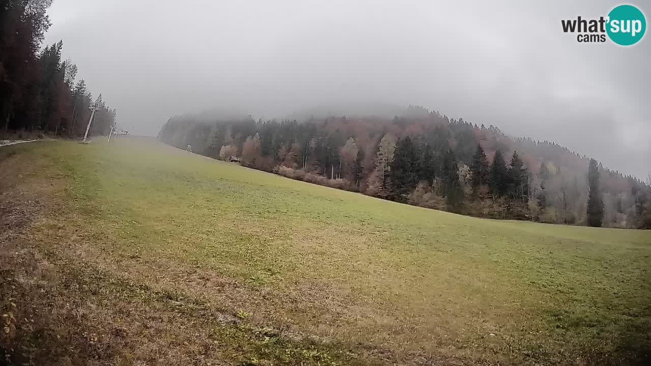 RTC Skigebiet Kranjska Gora | Brsnina