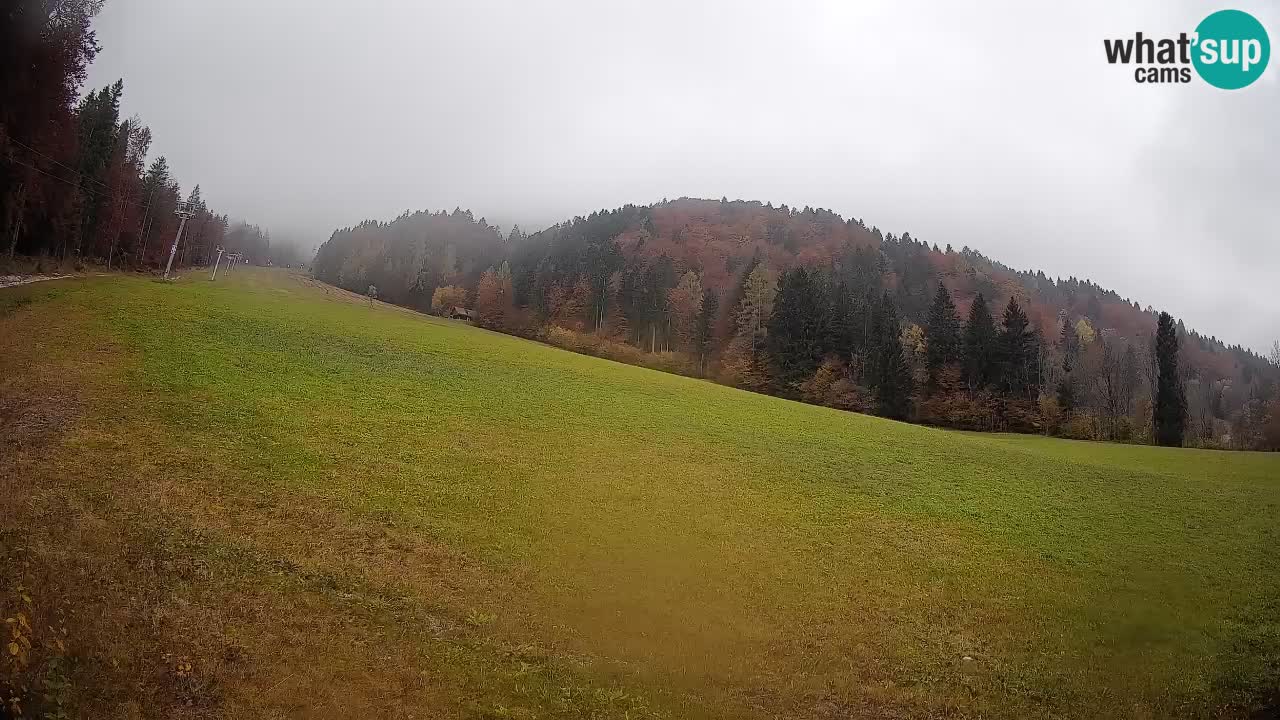 Esquí Kranjska Gora | Brsnina
