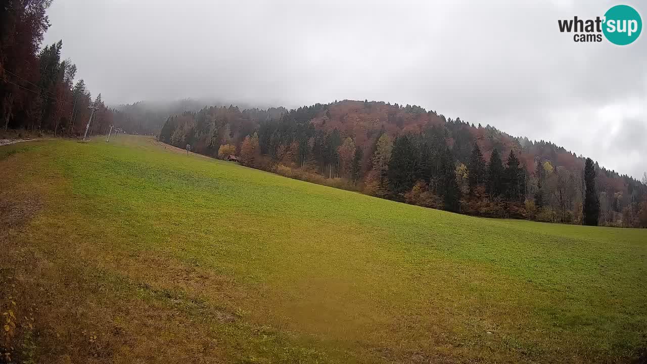 Ski Kranjska Gora | Brsnina
