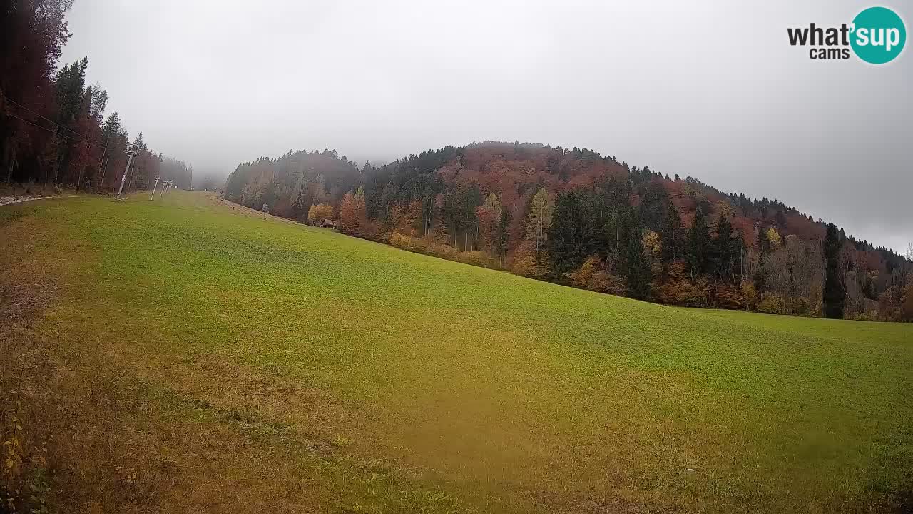 RTC Skigebiet Kranjska Gora | Brsnina